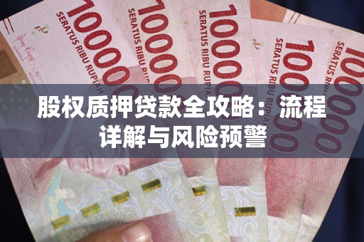 北京股权质押贷款全攻略：流程详解与风险预警