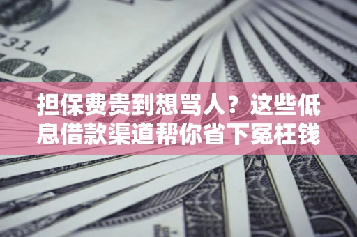 北京担保费贵到想骂人？这些低息借款渠道帮你省下冤枉钱