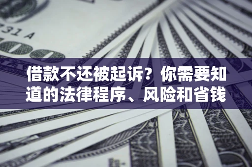 北京借款不还被起诉？你需要知道的法律程序、风险和省钱技巧