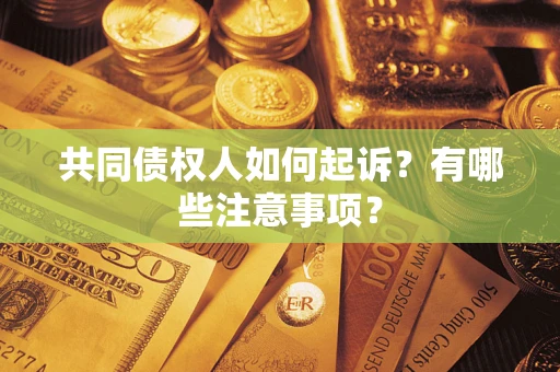 北京共同债权人如何起诉？有哪些注意事项？
